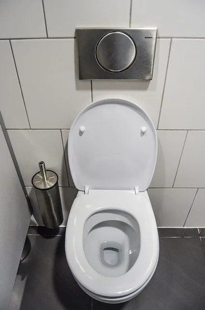 Toilet repair