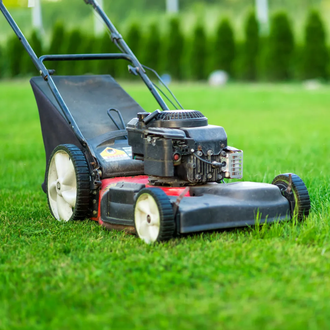 Landscaping services