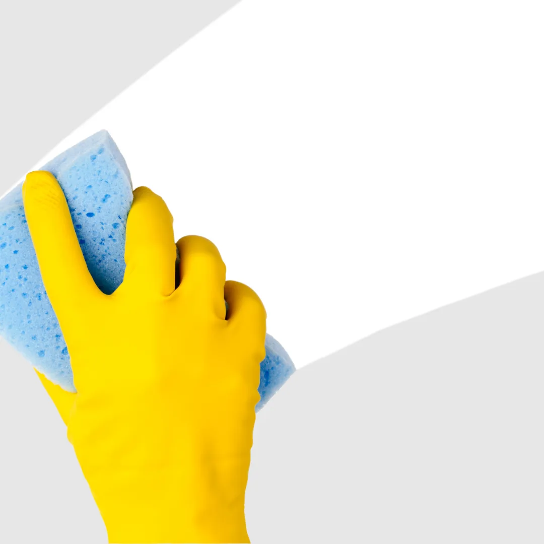 Dumpster cleaning services
